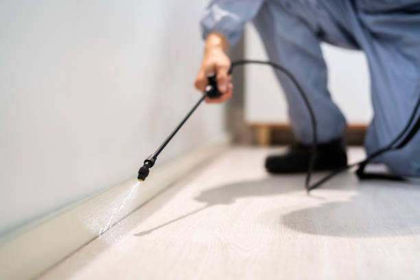 Licensed Wasp Control service in Duboistown, PA - Nex Pest Control